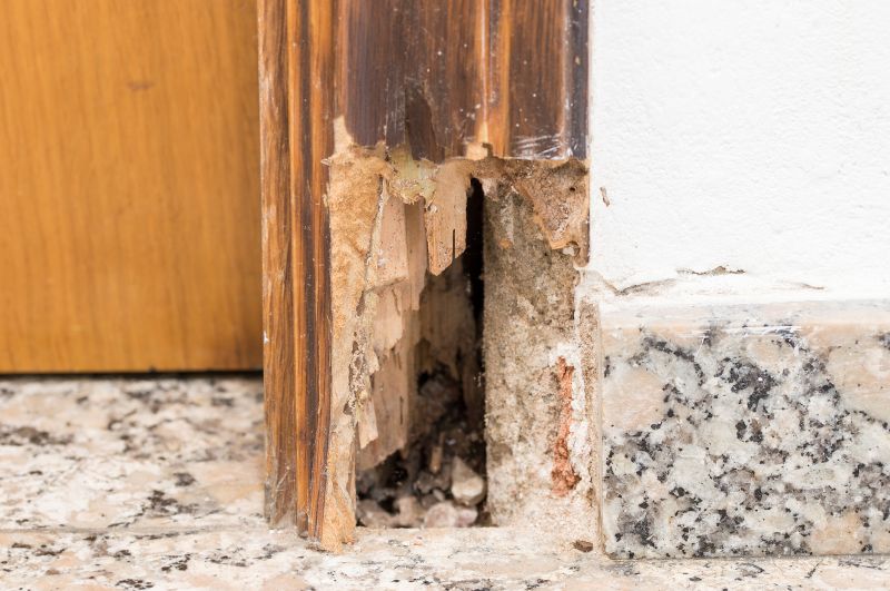 Rotten Column Replacement